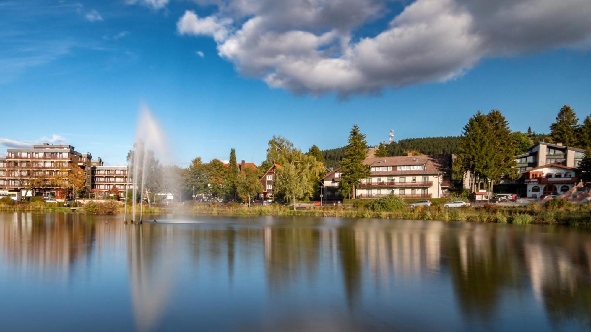 Apartment Uriger Bocksbergblick Hahnenklee *