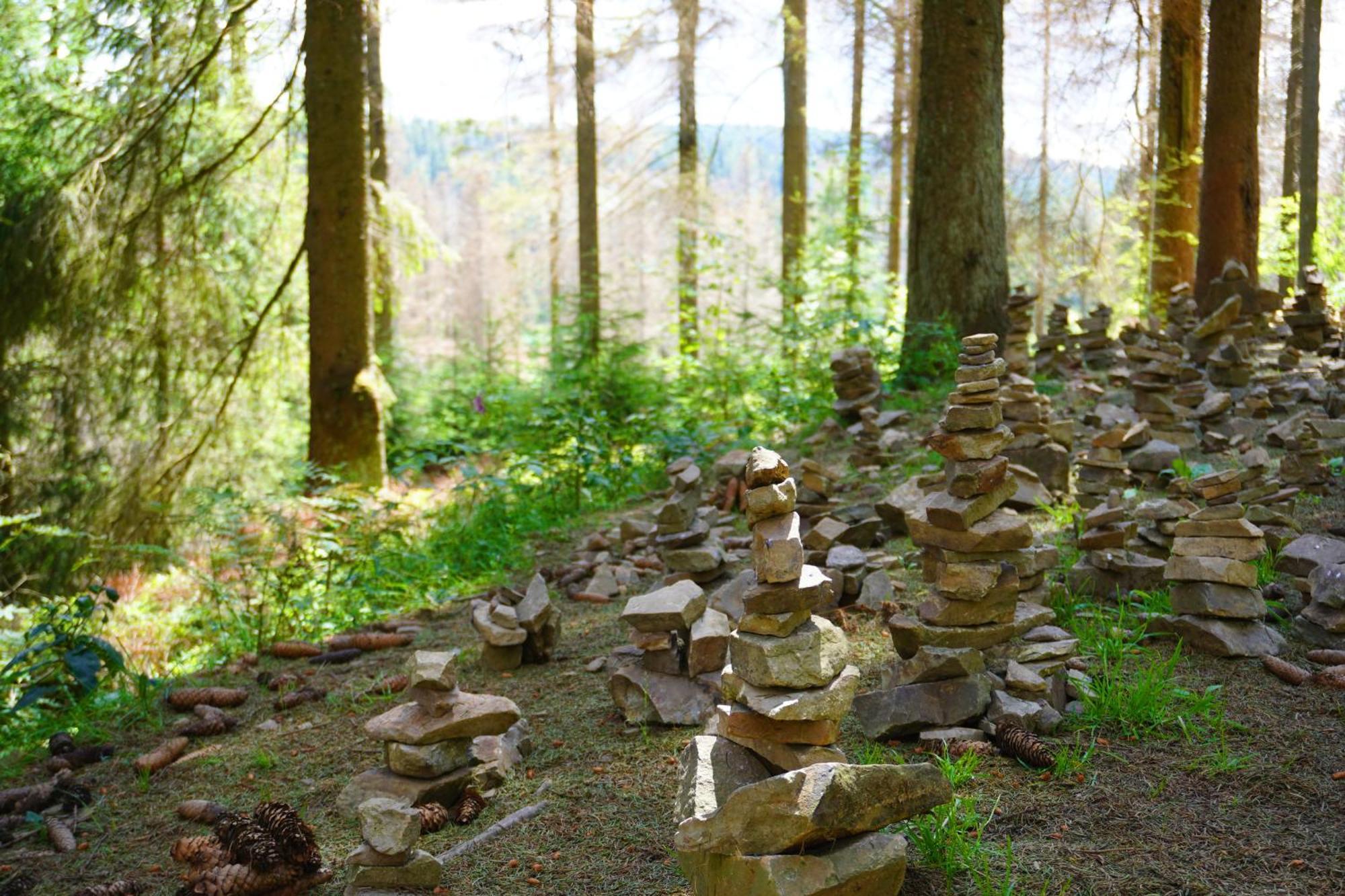 Uriger Bocksbergblick Hahnenklee *